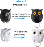 Owl Key Holder
